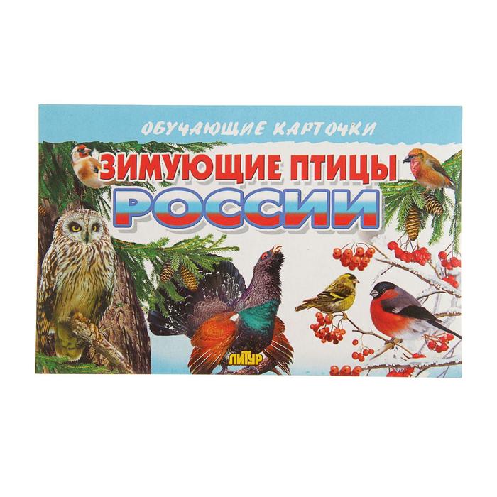 Обучающие карточки «Зимующие птицы России», 16 карточек - Фото 1