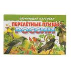 Обучающие карточки «Перелётные птицы России», 16 карточек - фото 317977531