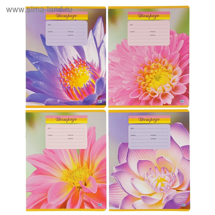Тетрадь 12 листов клетка Sweet Flowers, картонная обложка, МИКС - Фото 1