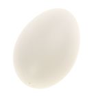 Прикол "Яйца" в сетке ( набор 6 шт) гусиные - Фото 2