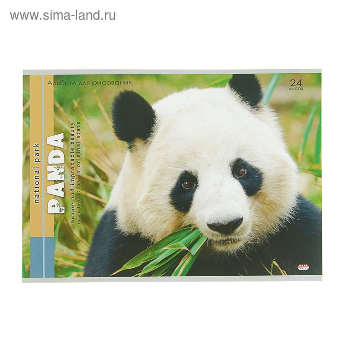 Альбом для рисования А4, 24 листа на скрепке "Милая панда", обложка картон хромэрзац, блок офсет 100г/м2 - Фото 1