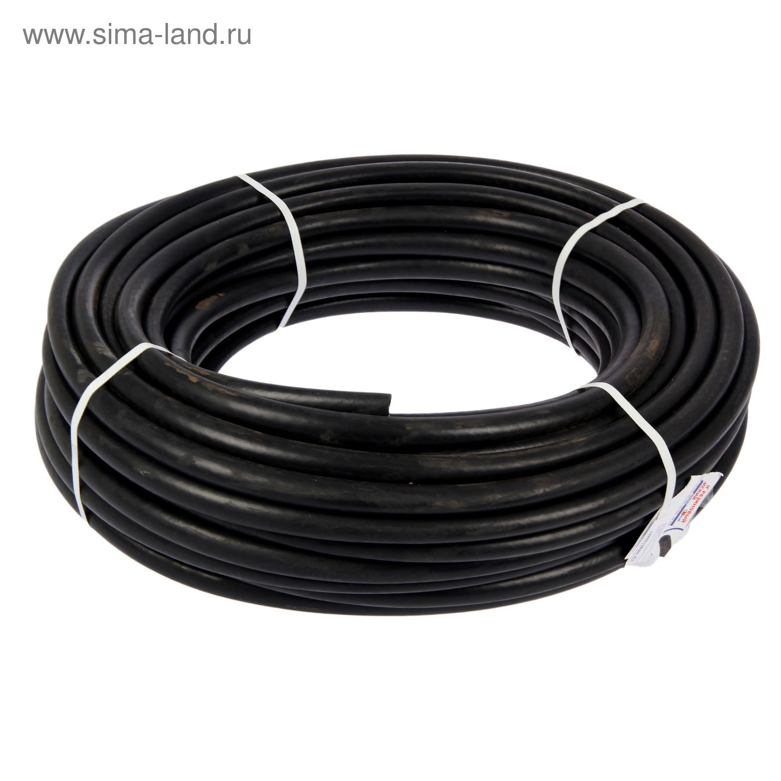 Үлкен инелері бар лесбиянкалар