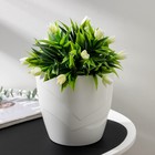 Кашпо для цветов со вставкой «Грация», 2.8 л, белое - Фото 1