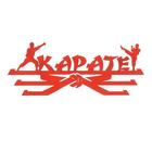 Медальница "Карате" - Фото 1