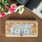 Шкатулка - купюрница «Доллары на фоне монет», 9,5×17×2,5 см - Фото 4