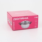 Кастрюля Доляна «Роскошь», 3 л, d=20 см, с крышкой, нержавеющая сталь, капсульное дно - Фото 9