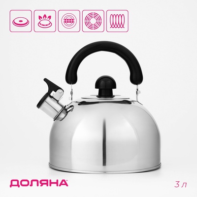 Чайник со свистком Доляна «Чёрная ночь», 3 л, нержавеющая сталь, фиксированная ручка, хромированный