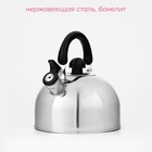 Чайник со свистком Доляна «Чёрная ночь», 3 л, нержавеющая сталь, фиксированная ручка, хромированный - Фото 2
