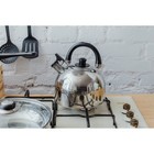 Чайник со свистком Доляна «Чёрная ночь», 3 л, нержавеющая сталь, фиксированная ручка, хромированный - Фото 11