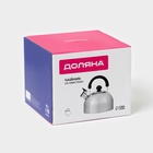 Чайник со свистком Доляна «Чёрная ночь», 3 л, нержавеющая сталь, фиксированная ручка, хромированный - Фото 17