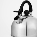 Чайник со свистком Доляна «Чёрная ночь», 3 л, нержавеющая сталь, фиксированная ручка, хромированный - Фото 4