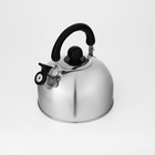 Чайник со свистком Доляна «Чёрная ночь», 3 л, нержавеющая сталь, фиксированная ручка, хромированный - Фото 5