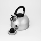 Чайник со свистком Доляна «Чёрная ночь», 3 л, нержавеющая сталь, фиксированная ручка, хромированный - Фото 6