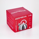 Чайник со свистком Доляна «Чёрная ночь», 3 л, нержавеющая сталь, фиксированная ручка, хромированный - Фото 12