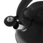 Чайник "Оптимал", макс. объем 2,5 л, со свистком, фиксированная ручка, цвет черный - Фото 2