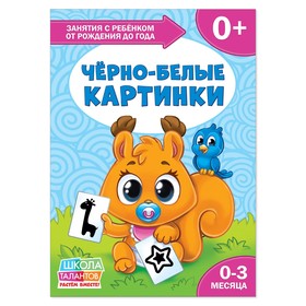 Книга Школа Талантов «Чёрно-белые картинки», первый год обучения, формат А4, 16 стр. 2351700