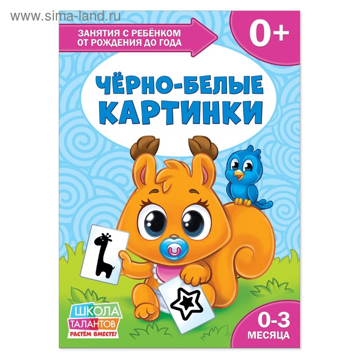 Книга Школа Талантов «Чёрно-белые картинки», первый год обучения, формат А4, 16 стр. - Фото 1