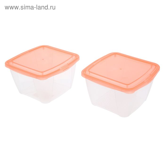 Комплект контейнеров для холодильника и СВЧ «В дом с умом», 2 шт, 1 л, цвет МИКС - Фото 1