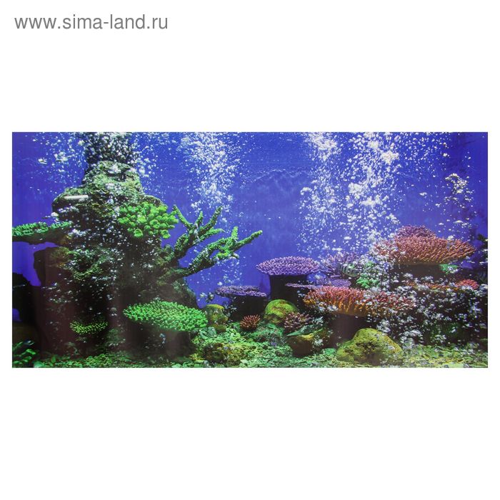 Фон для аквариума № 9Ф, односторонний, 30х60см - Фото 1