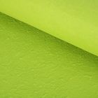 Бумага ручной работы, объемная, зелёная мята, 50 х 80 см - Фото 1