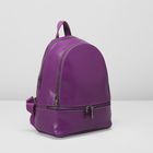 Рюкзак молодёжный на молнии, 2 отдела, наружный карман, цвет фиолетовый - Фото 2