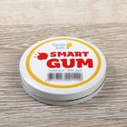 Пластилин детский для лепки SMART GUM, 50 г - Фото 1