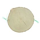 Спил ели, шлифованный с одной стороны, диаметр 23-26 см, толщина 2-3 см - Фото 3