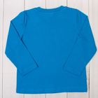 Джемпер для мальчика, рост 98-104 см, цвет голубой AZ-804 - Фото 7