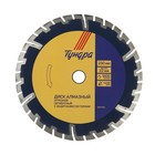 Диск алмазный отрезной ТУНДРА, сегментный с защитными секторами, сухой рез, 230×22 мм - Фото 2