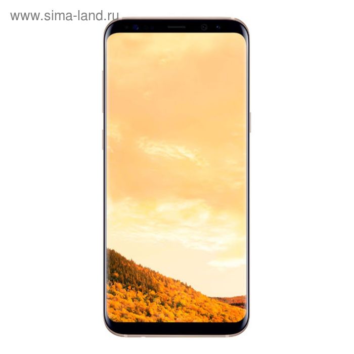 Смартфон Samsung Galaxy S8+ SM-G955F, 64 GB, gold - Фото 1