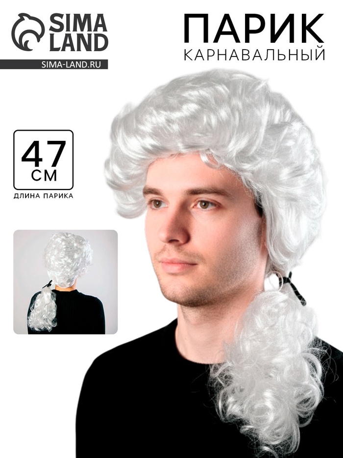 Карнавальный парик «Граф», 110 г, длина парика 47 см - Фото 1