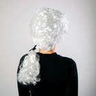 Карнавальный парик «Граф», 110 г, длина парика 47 см - Фото 2