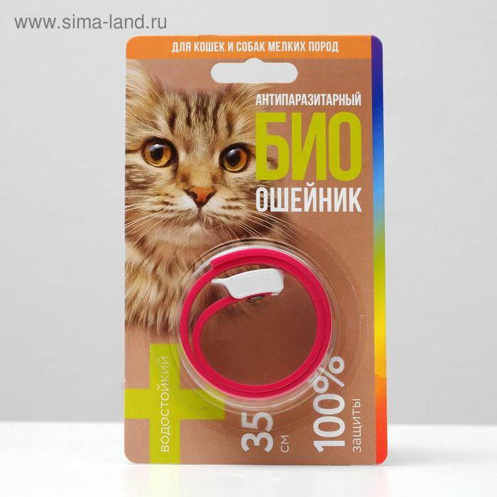 Биоошейник антипаразитарный для кошек от блох и клещей, 35 см микс - Фото 1