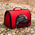 Сумка - переноска для животных, 2 входа, 31×20.5×23 см, красная - Фото 3
