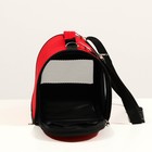 Сумка - переноска для животных, 2 входа, 31×20.5×23 см, красная - Фото 6