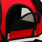 Сумка - переноска для животных, 2 входа, 31×20.5×23 см, красная - Фото 7