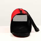 Сумка - переноска для животных, 40×25×28 см, 2 входа, красная - Фото 4