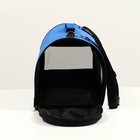 Сумка - переноска для животных, 40×25×28 см, 2 входа, синяя - Фото 7