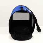 Сумка - переноска для животных, 49×30×35 см, 2 входа, синяя - Фото 4