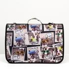 Сумка - переноска для животных с принтом, 46×28.5×30 см, цвет МИКС - Фото 2