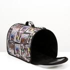 Сумка - переноска для животных с принтом, 46×28.5×30 см, цвет МИКС - Фото 5