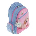 Рюкзак школьный Rachael Hale 520 R, 38 х 29 х 13 см, голубой/розовый - Фото 2
