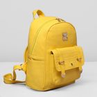 Рюкзак молодёжный на молнии, 1 отдел, 3 наружных кармана, цвет жёлтый - Фото 2