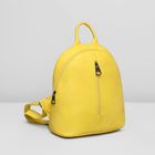 Рюкзак на молнии, 1 отдел, 2 наружных кармана, цвет жёлтый - Фото 1