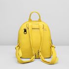 Рюкзак на молнии, 1 отдел, 2 наружных кармана, цвет жёлтый - Фото 3