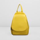 Рюкзак на молнии, 2 отдела, наружный карман, цвет жёлтый - Фото 2