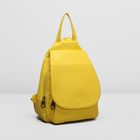 Рюкзак на молнии, 2 отдела, наружный карман, цвет жёлтый - Фото 1