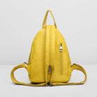 Рюкзак на молнии, 2 отдела, наружный карман, цвет жёлтый - Фото 3