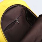 Рюкзак на молнии, 2 отдела, наружный карман, цвет жёлтый - Фото 5