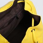 Рюкзак молодёжный на шнурке, 1 отдел, 2 наружных кармана, цвет жёлтый - Фото 5